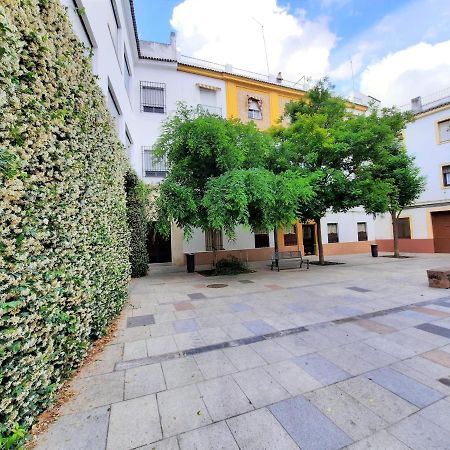 Апартаменти San Pedro Parking Gratis Coche Mediano Кордова Екстер'єр фото
